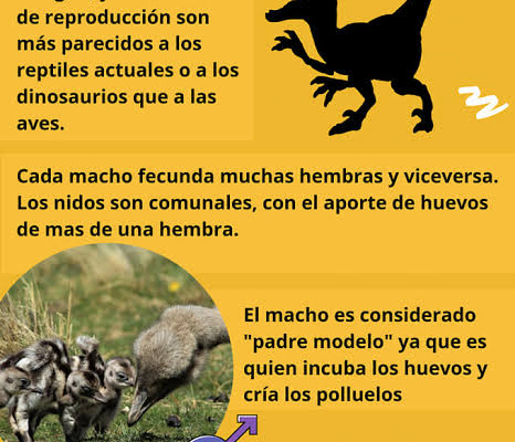 images1