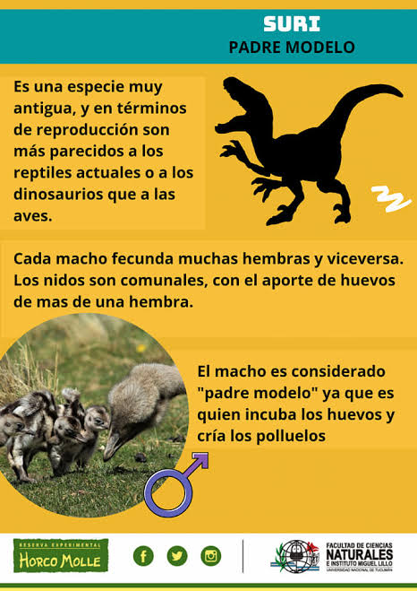 images1